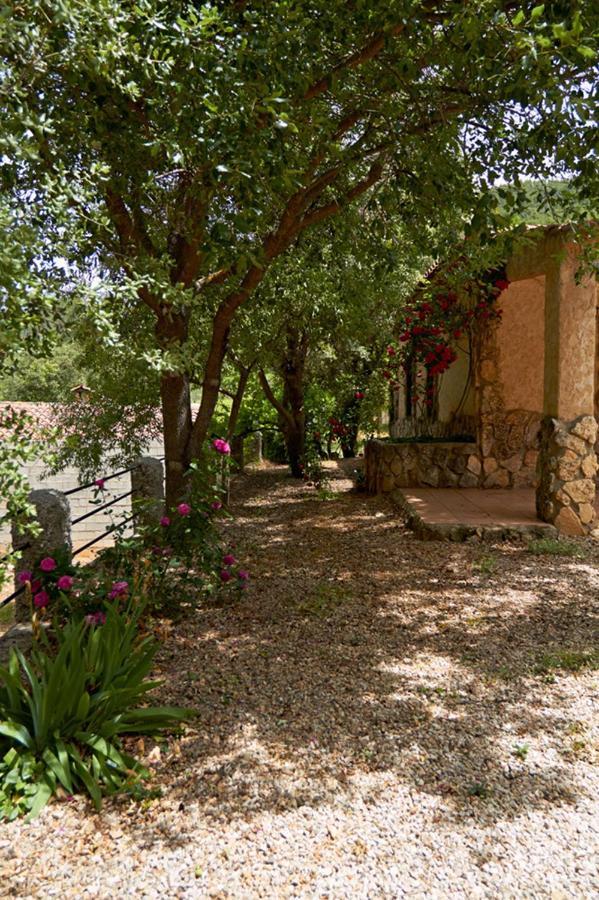 Casas Rurales Amable- Yeste Cortijo Prados ภายนอก รูปภาพ