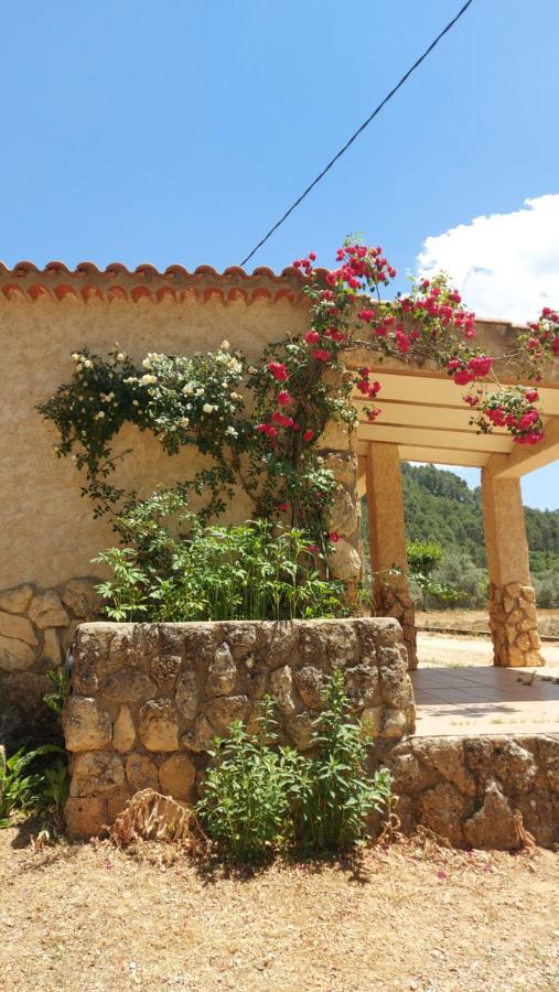Casas Rurales Amable- Yeste Cortijo Prados ภายนอก รูปภาพ